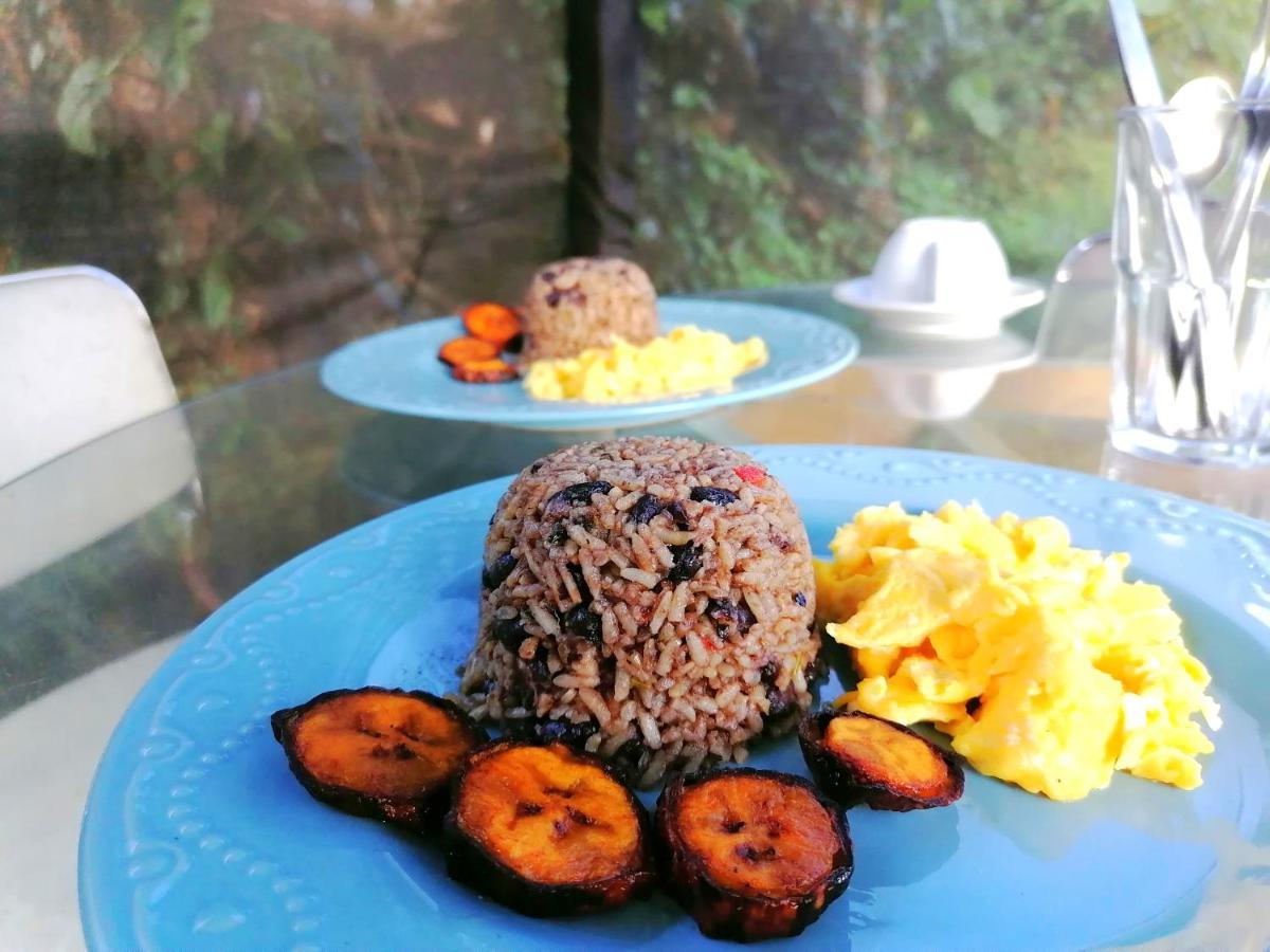 Rustico Arenal B&B La Fortuna Bagian luar foto