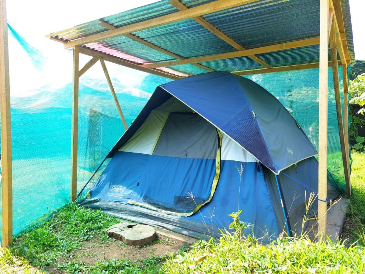 Rustico Arenal B&B La Fortuna Bagian luar foto